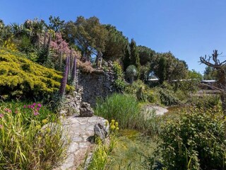 Vakantiepark Vrouwenpolder Omgeving 20