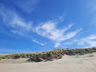 Vakantiepark Vrouwenpolder Omgeving 22