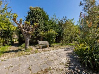 Vakantiepark Vrouwenpolder Omgeving 17