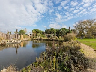 Ferienpark Vrouwenpolder Umgebung 22