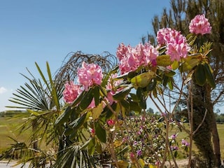 Ferienpark Vrouwenpolder  37