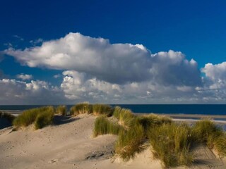 Ferienpark Vrouwenpolder Umgebung 18