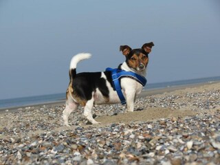 Vakantiepark Vrouwenpolder  36