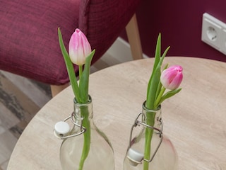 Ferienhaus Oostkapelle  36