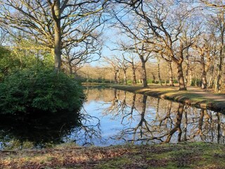 Vakantiehuis Oostkapelle Omgeving 27