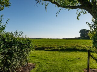 Blick