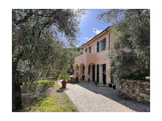 Terrassen unterhalb des Hauses