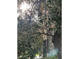 Landhaus Civezza Außenaufnahme 10