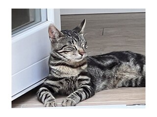 Landhaus Civezza Außenaufnahme 12