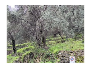 Landhaus Civezza Außenaufnahme 14