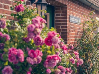 Ferienhaus Oldenswort Außenaufnahme 4