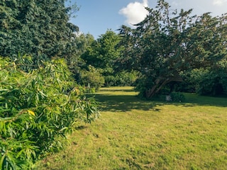 Ferienhaus Oldenswort Außenaufnahme 19