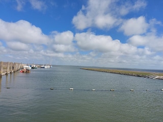 Ferienhaus Oldenswort Außenaufnahme 22