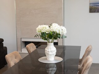 Villa Rasopasno Caratteristiche 33