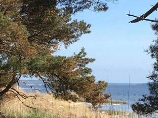 Boddenlandschaft ca. 2000m entfernt