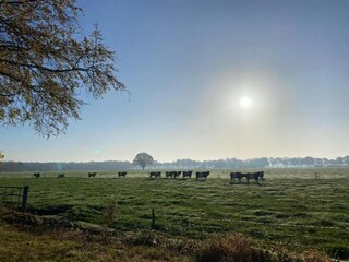 Vakantiepark Lochem Omgeving 25