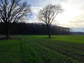 Ferienpark Lochem Umgebung 18