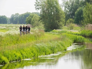 Parc de vacances Lochem Environnement 20