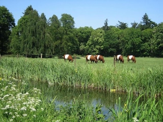 Parc de vacances Lochem Environnement 22