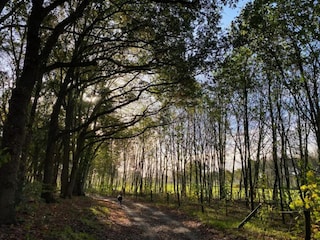 Parc de vacances Lochem Environnement 28