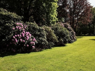 Parco vacanze Lochem Ambiente 24