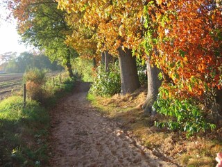 Ferienpark Lochem Umgebung 35