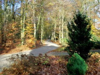Parque de vacaciones Lochem Entorno 34