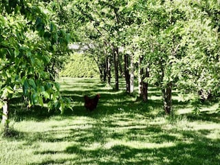 Ferienpark Lochem Umgebung 23