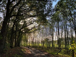 Parco vacanze Lochem Ambiente 22