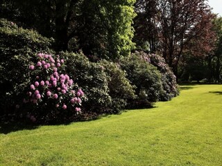 Parque de vacaciones Lochem Entorno 36