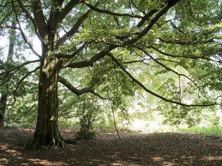 Vakantiepark Markelo Omgeving 27