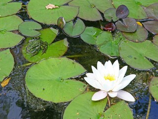 Ferienpark Markelo  60