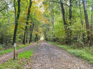 Parco vacanze Markelo Ambiente 37