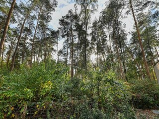 Ferienpark Markelo Umgebung 26