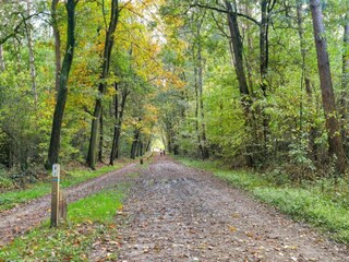 Parco vacanze Markelo Ambiente 14