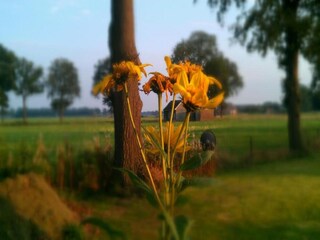 Vakantiepark Markelo Omgeving 22