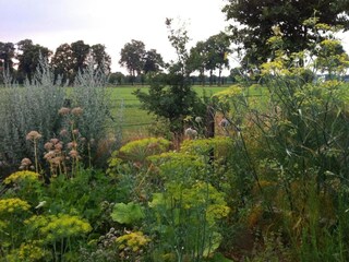 Vakantiepark Markelo Omgeving 12