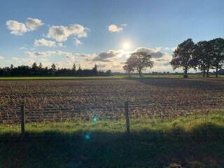 Ferienpark Markelo Umgebung 33