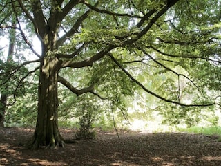 Vakantiepark Markelo Omgeving 16