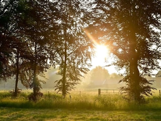 Vakantiepark Markelo Omgeving 23