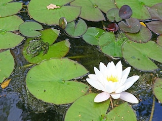 Vakantiepark Markelo  40