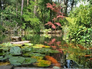 Vakantiepark Markelo Omgeving 15