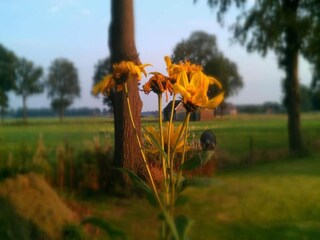 Vakantiepark Markelo Omgeving 7