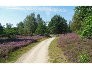 Ferienpark Markelo Umgebung 9