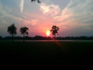 Parco vacanze Markelo Ambiente 28