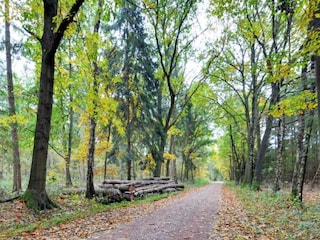 Parco vacanze Markelo Ambiente 23