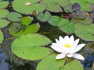 Vakantiepark Markelo Omgeving 18