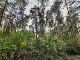 Vakantiepark Markelo Omgeving 12