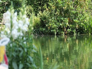 Ferienpark Markelo Umgebung 27
