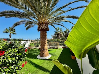 Apartment Roquetas de Mar Outdoor Recording 6